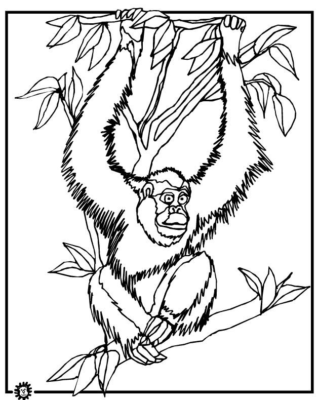 dibujo de orangutan en el bosque