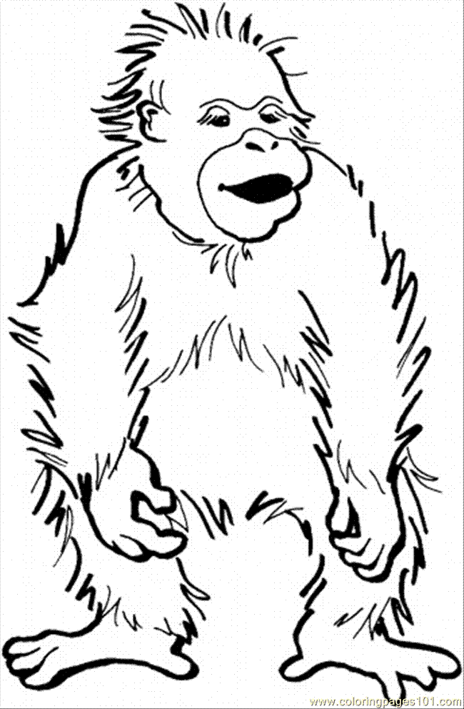 orangutan parado para colorear